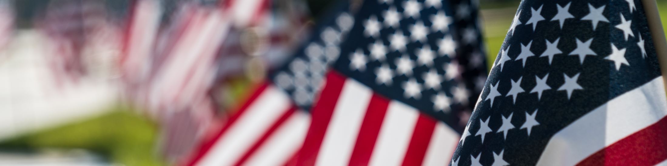 American flags in a row along sidewalk