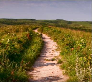 Hill with walking trail